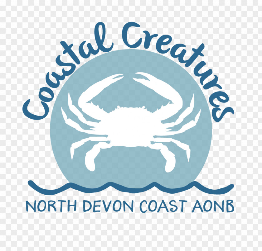 Coastal Georgeham Parish Council Croyde Blues: Mrs. Howard's Guide To Decorating With The Colors Of Sea And Sky Science PNG