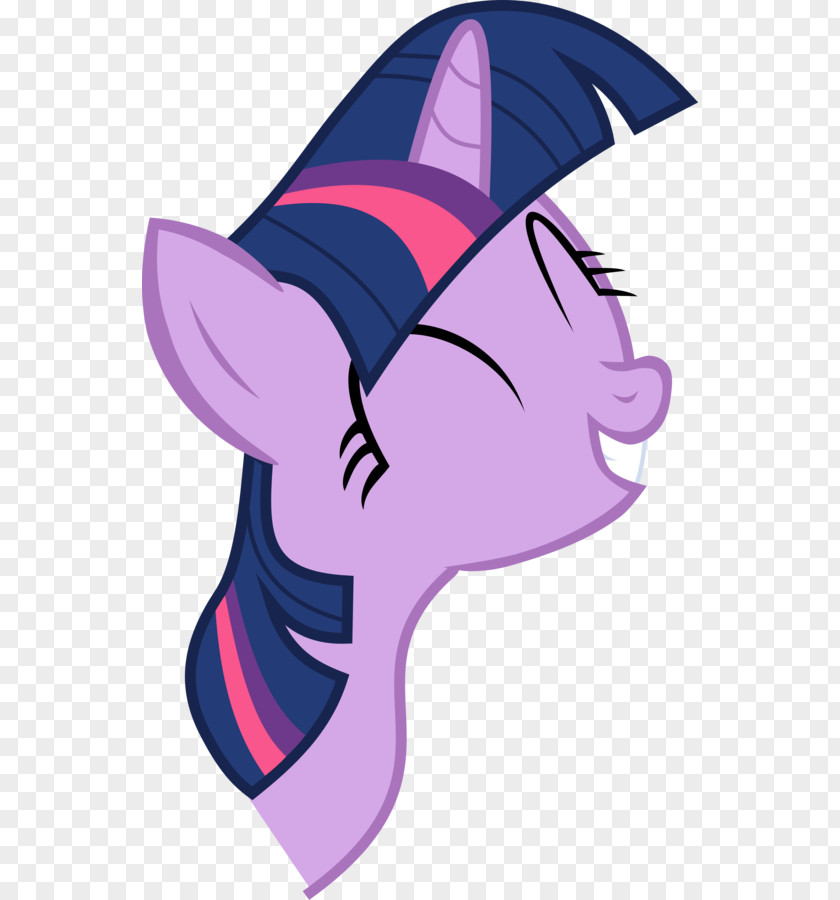 Horse Pony Twilight Sparkle Rainbow Dash Clip Art PNG