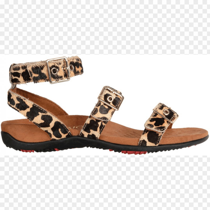 Sandal Flip-flops Slide Shoe PNG