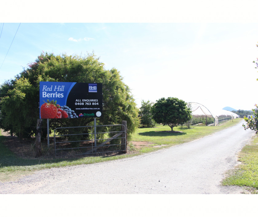 Strawberry Picking Car Property Advertising Land Lot Transport PNG