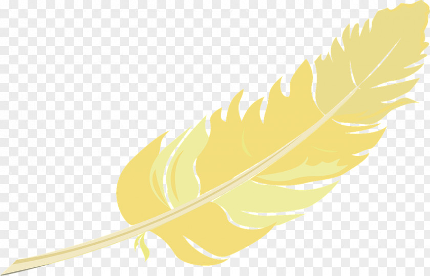Yellow Feathers Feather PNG