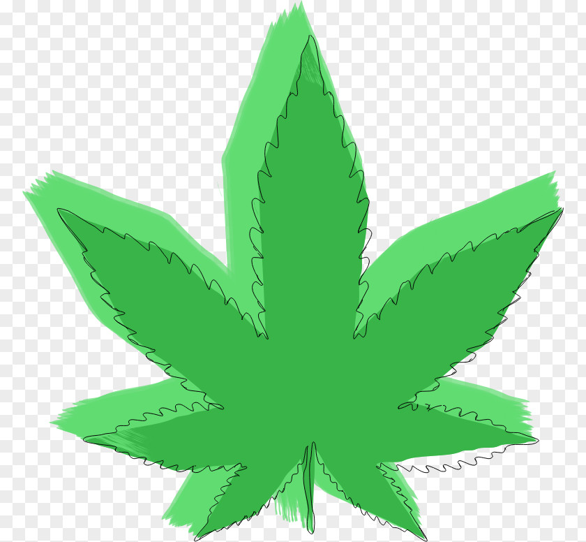 Cannabis Medical Hemp Drug Leaf PNG