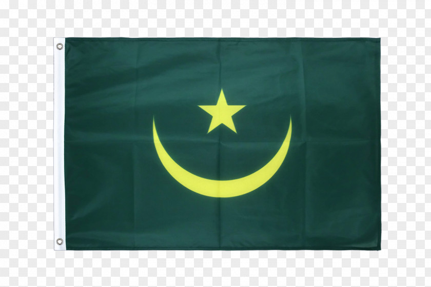 Flag Green Brand PNG