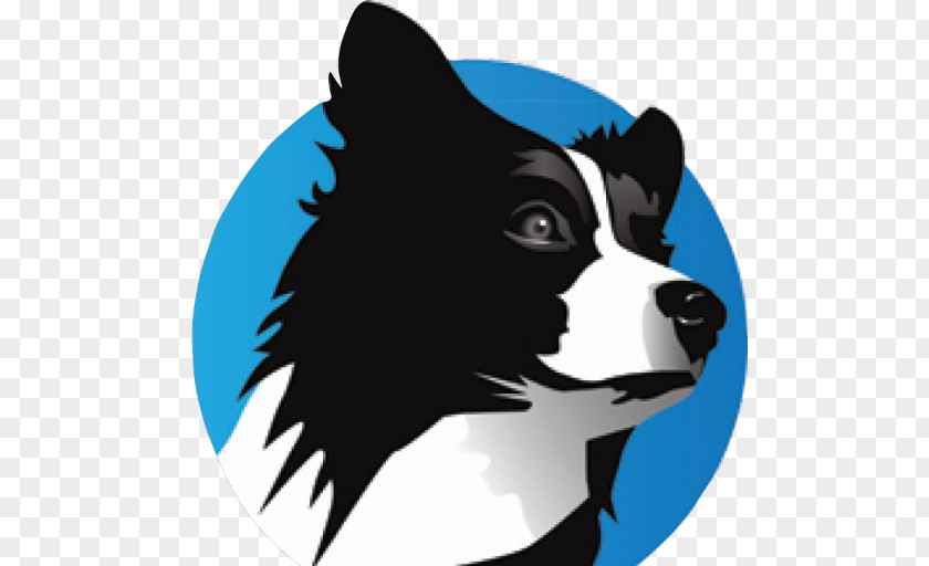 Puppy Dog Breed Border Collie Rough Smooth PNG