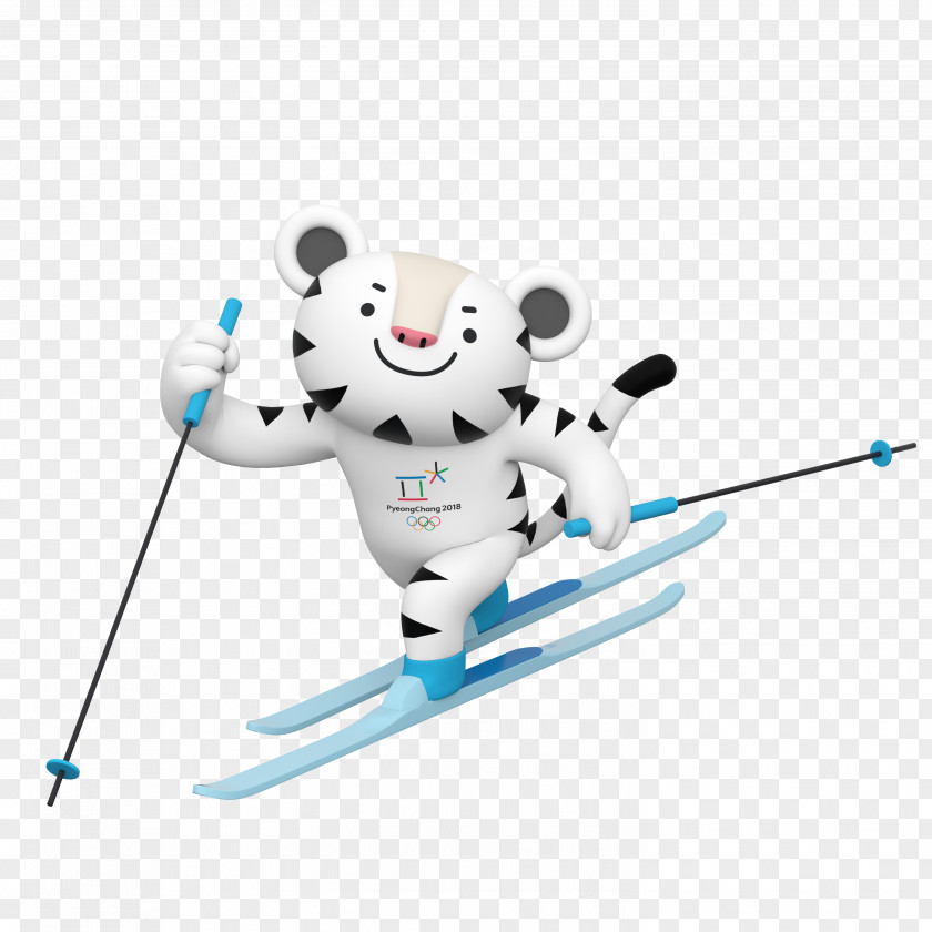 Skiing 2018 Winter Olympics Pyeongchang County Olympic Games Paralympics PNG
