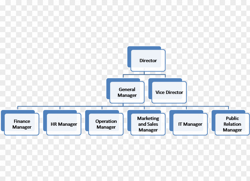 Organization Chart Communication Diagram Organizational Channel PNG