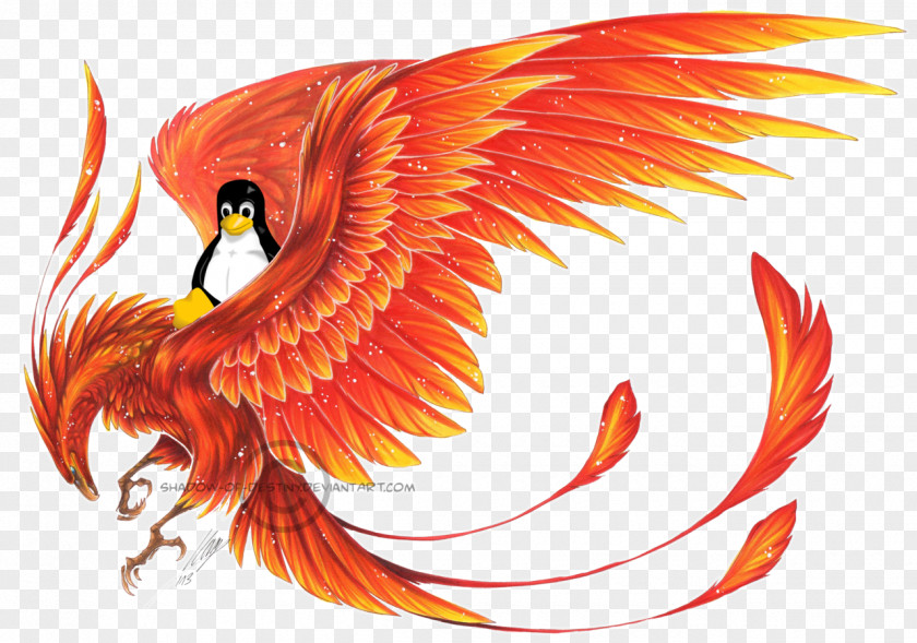Phoenix Legendary Creature Drawing PNG