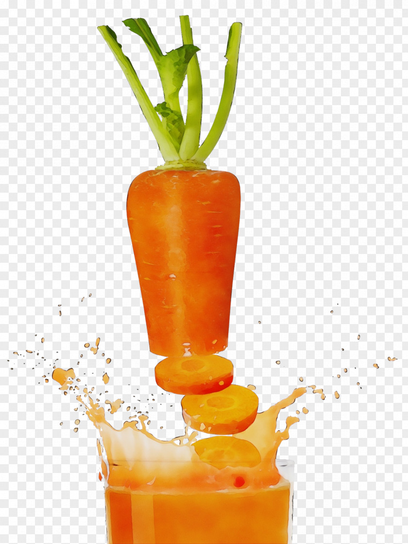 Root Vegetable Distilled Beverage Carrot Cartoon PNG