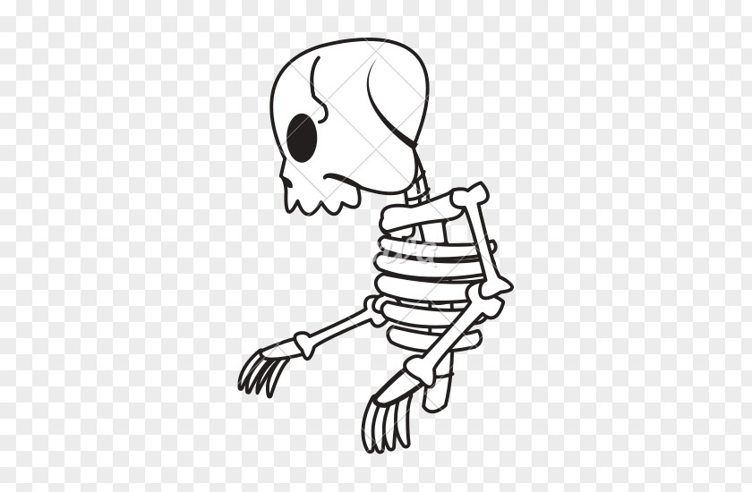 Skeleton Drawing Cartoon PNG
