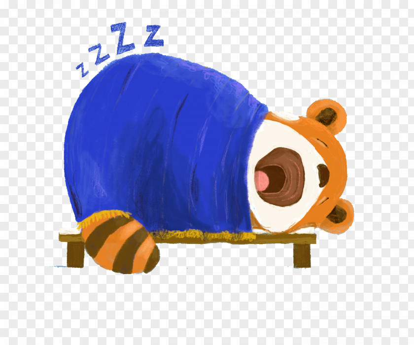 Sleeping Bear Sleep Raccoon Illustration PNG