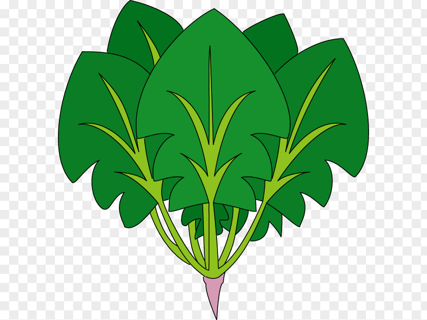 Spinach Cartoon Food Royalty-free Clip Art PNG