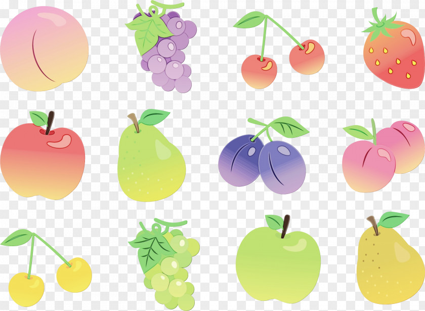 Vegetable Apple PNG