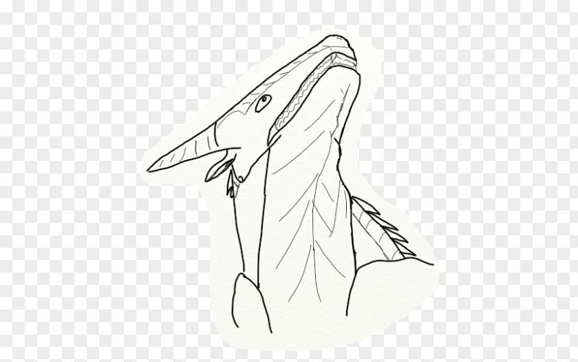 Wings Fire Line Art Marine Mammal Cartoon Sketch PNG