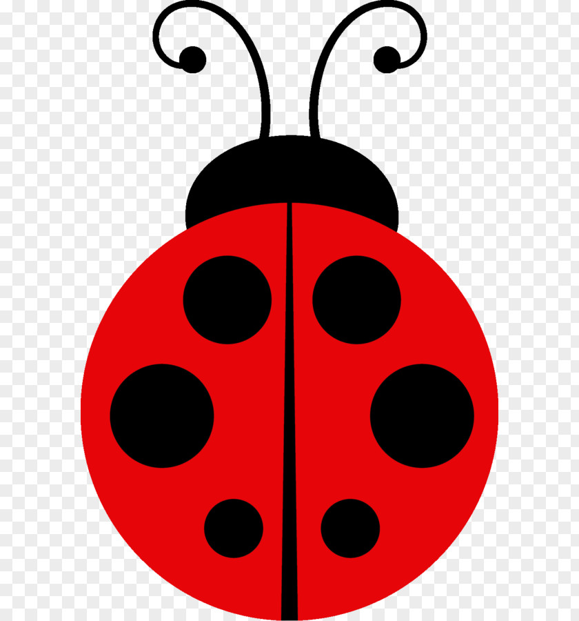 Beetle Ladybird Desktop Wallpaper Clip Art PNG