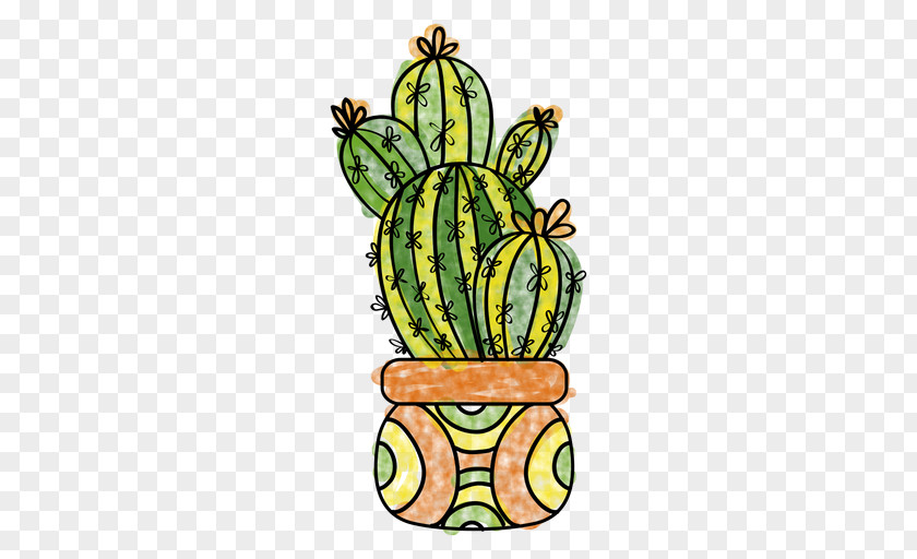 Cactus Drawing Cactaceae Succulent Plant Watercolor Painting PNG