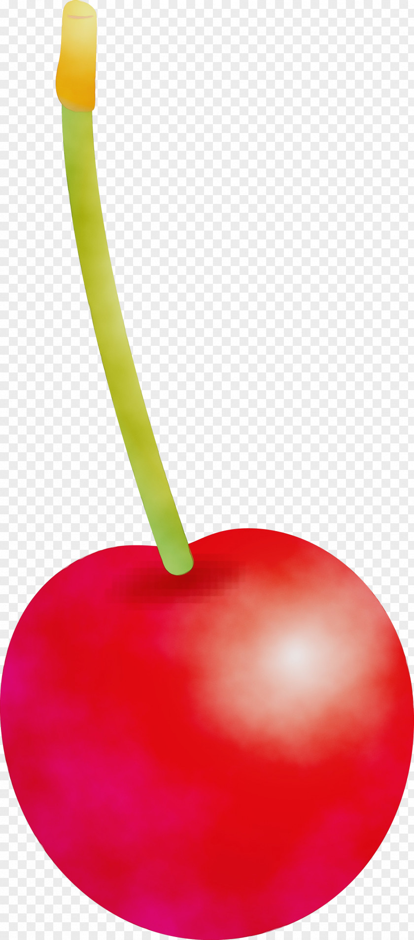 Cherry Fruit Plant Drupe Food PNG