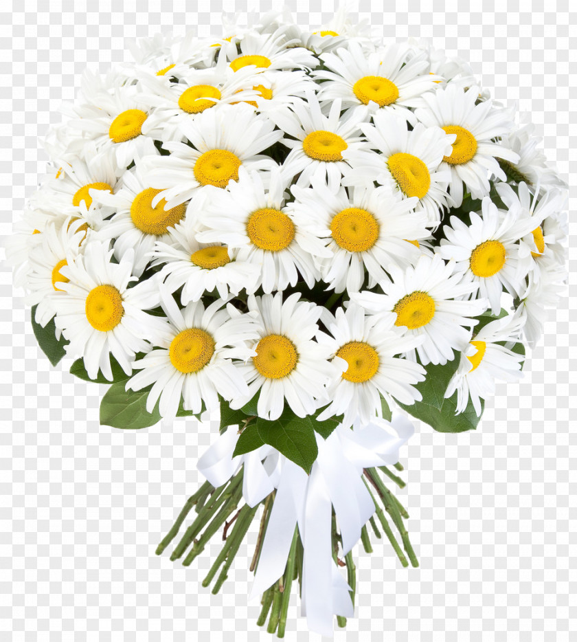 Chrysanthemum Flower Bouquet Oxeye Daisy Cut Flowers PNG