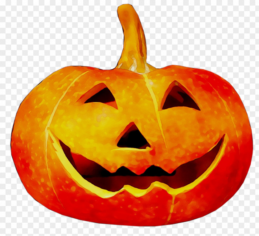 Jack-o'-lantern Pumpkin Gourd Winter Squash PNG