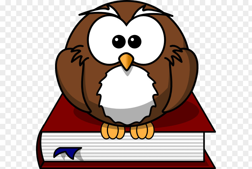 Owl Clip Art Vector Graphics Illustration Image PNG