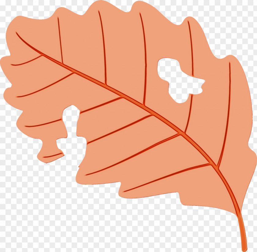 Plant Tree Leaf PNG