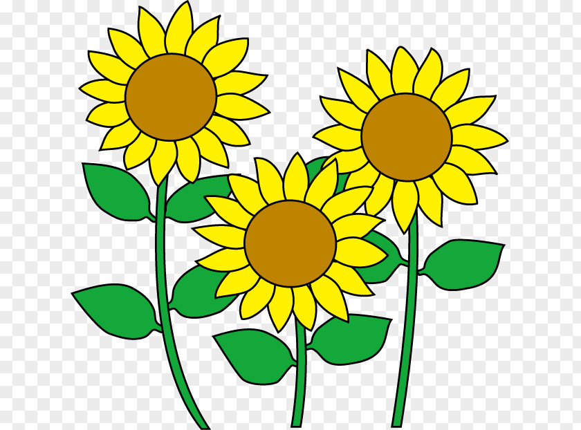 Flower Common Sunflower Cartoon Clip Art PNG
