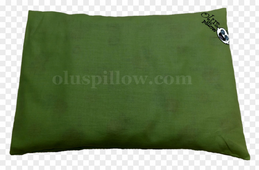 Kacang Hijau Throw Pillows Cushion Health Skull PNG