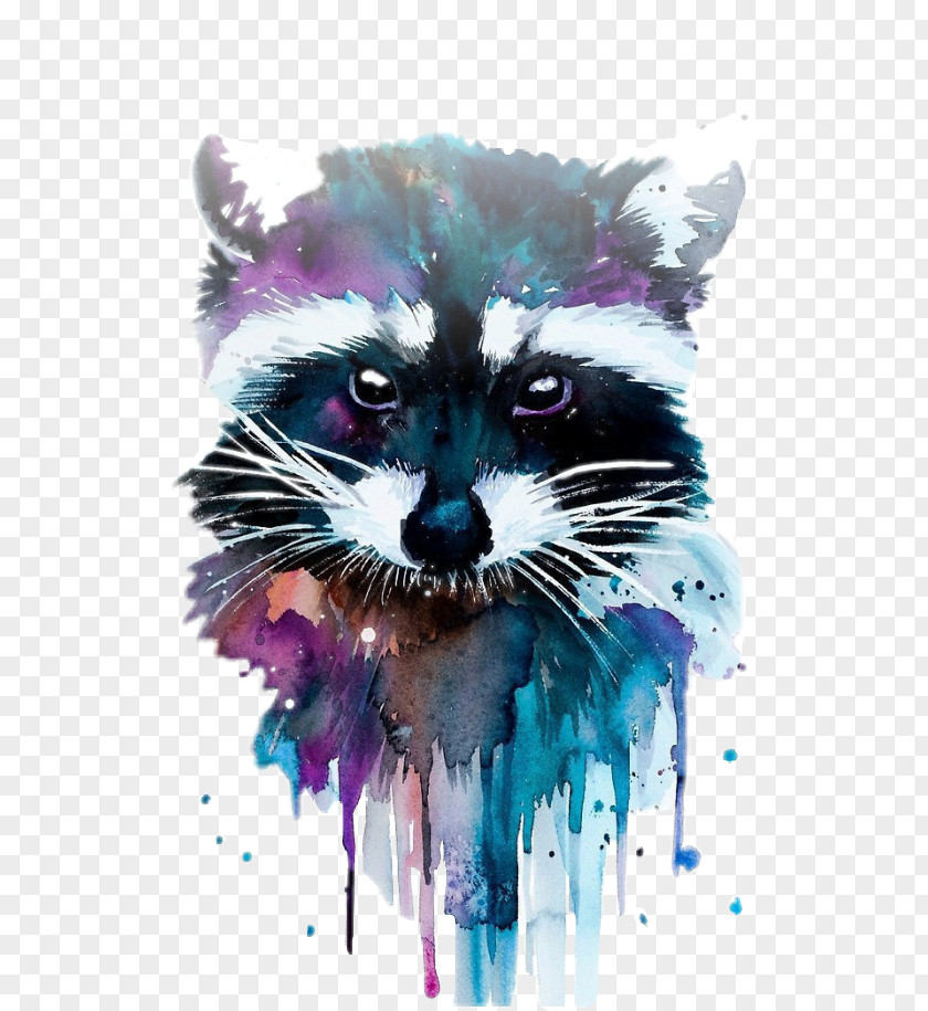 Painting Watercolor Drawing Raccoon Art PNG