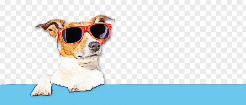 Dog Puppy Leash Snout Goggles PNG