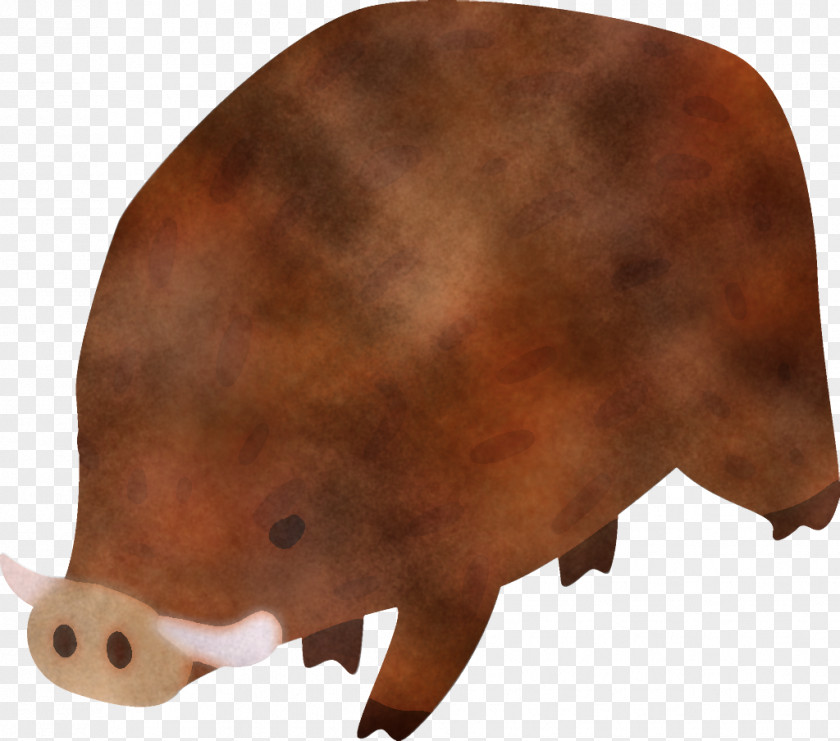 Grizzly Bear Suidae Brown Snout Boar PNG