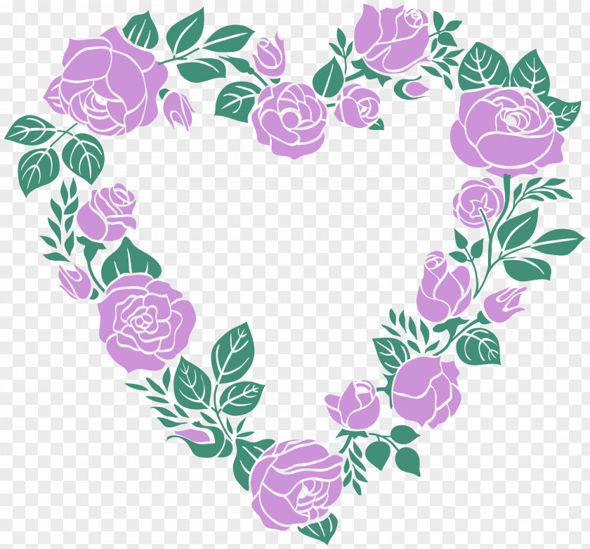 Lilac Flower Rose PNG