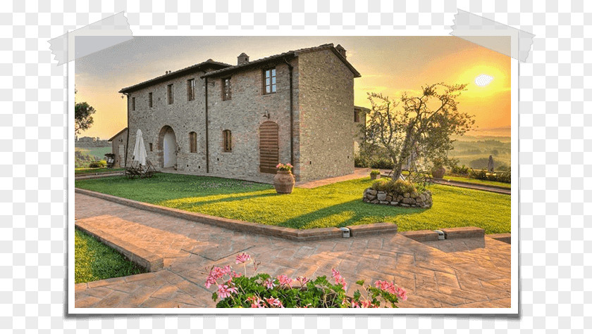 Olive Farms In Italy San Gimignano Borgo Tollena Wine Resort Breakfast Accommodation Agritourism PNG