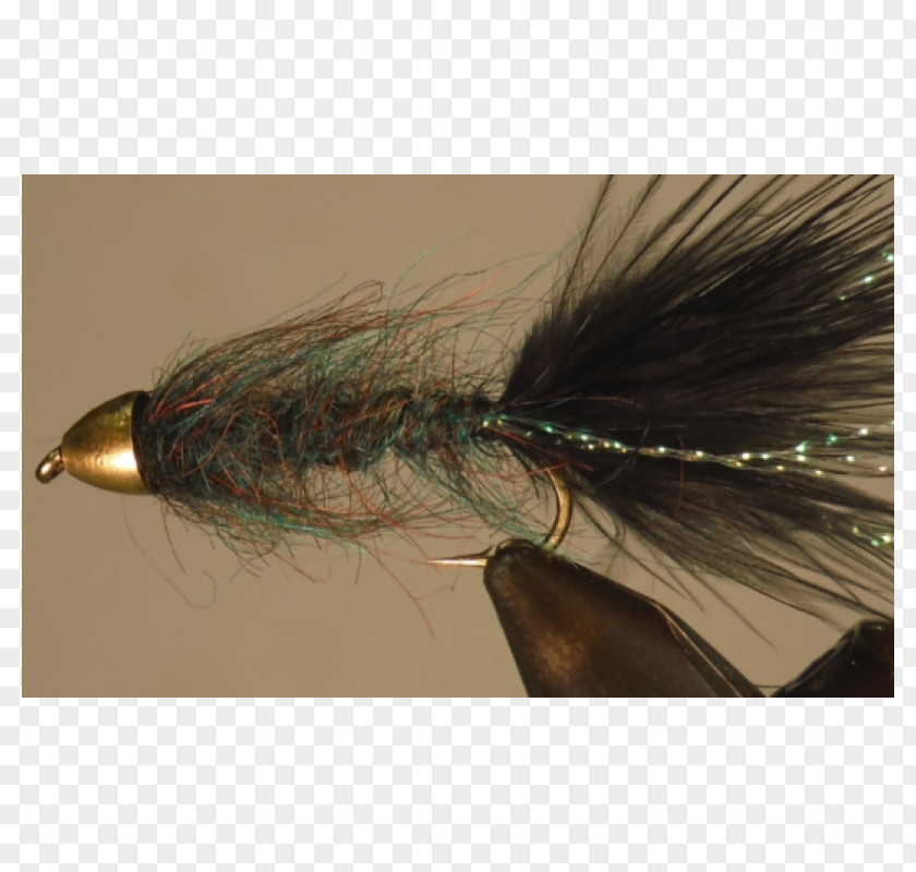 Pond Stone Artificial Fly PNG