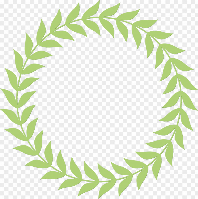 Vascular Plant Leaf Logo PNG