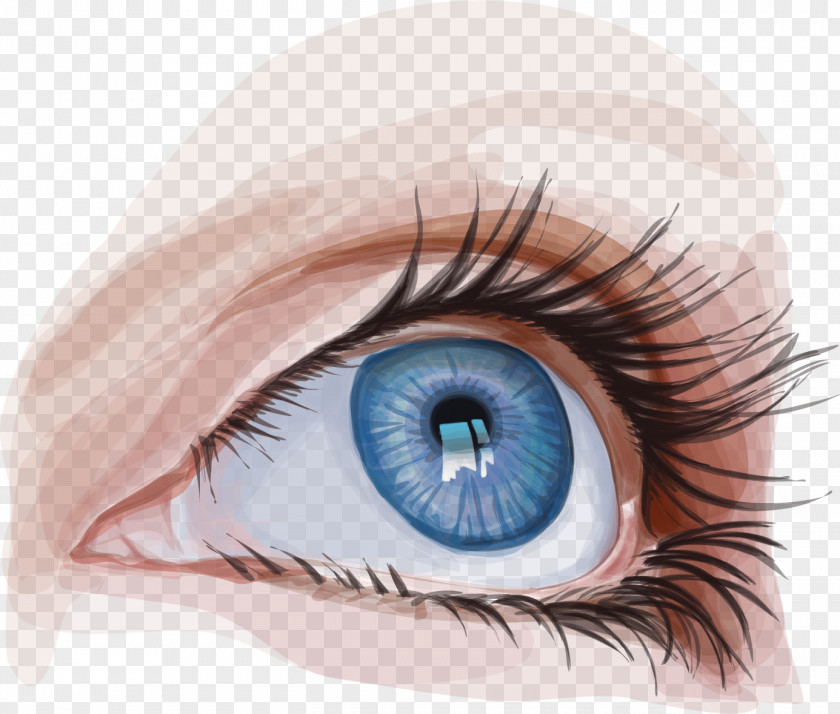 Vector Hand-painted Eyes Googly Iris PNG