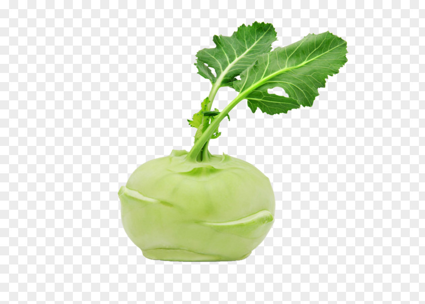 Vegetable Kohlrabi Food Delivery Broccoli PNG