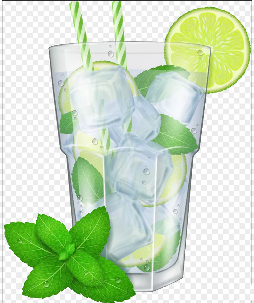 Ice Lemon Water Illustrator Mojito Cocktail Lemonade Illustration PNG