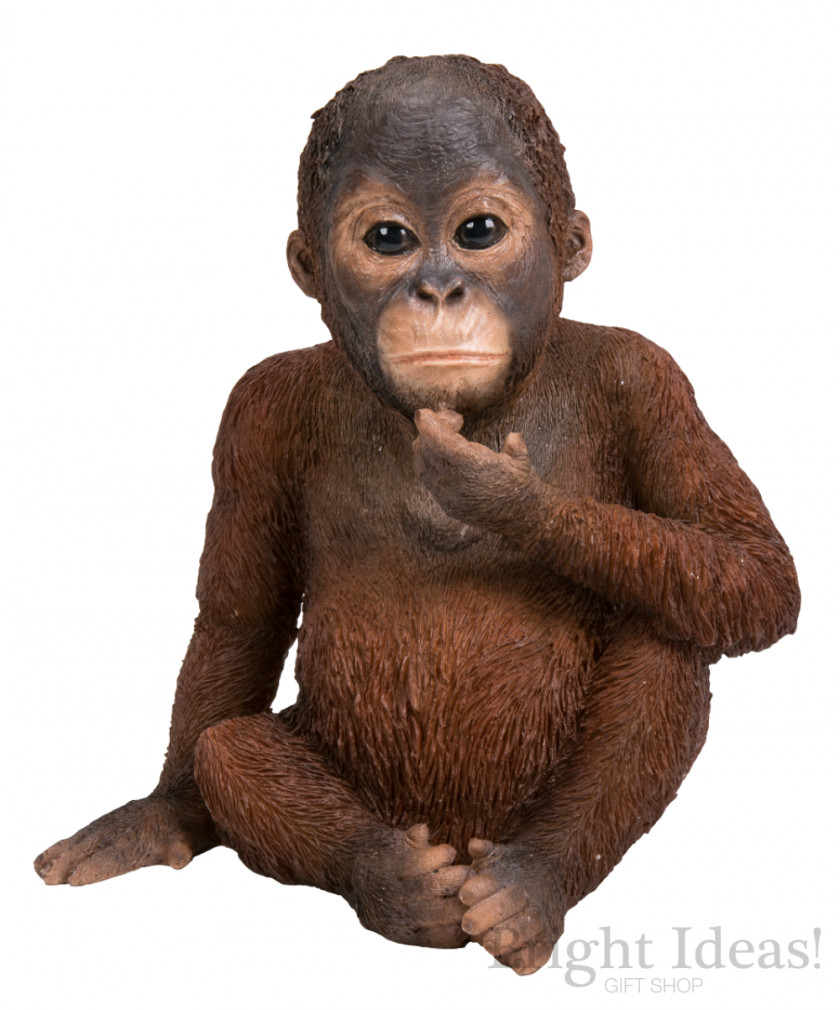 Orangutan The Arts Infant Statue Gift PNG