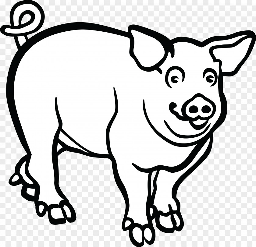 Pig Wild Boar Line Art Drawing Clip PNG