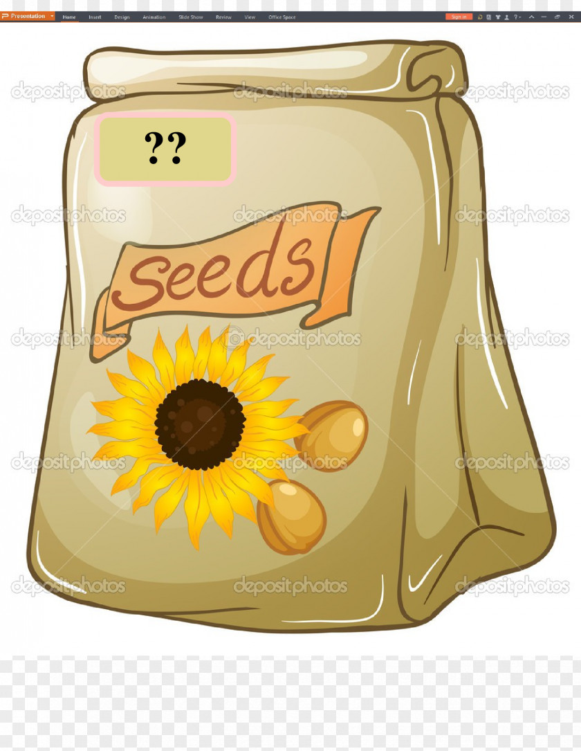Royalty-free Sunflower Seed PNG