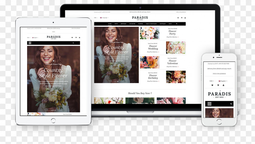 WordPress WooCommerce Responsive Web Design Magento Theme PNG