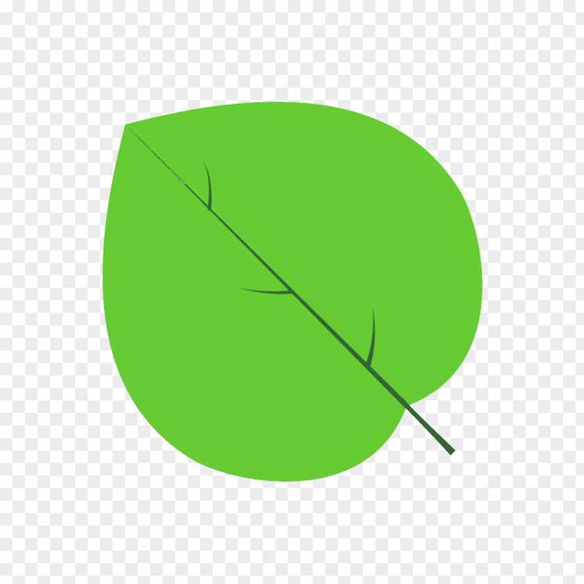 Circle Leaf Angle PNG