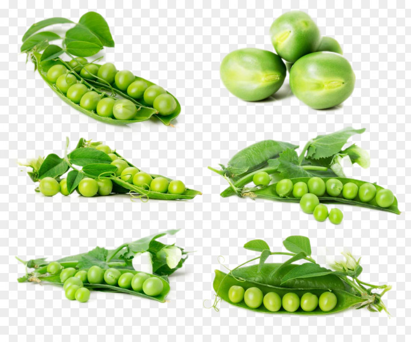 Fresh Vegetables Vegetable Pea Tomato Potato PNG