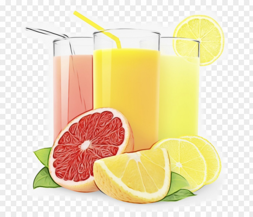 Ingredient Grapefruit Juice Drink Citrus Food Vegetable PNG