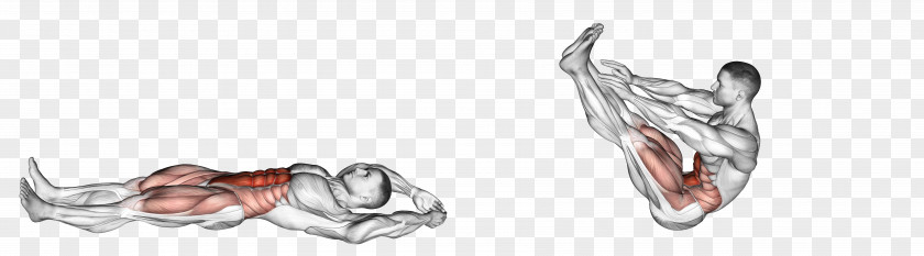 Knife Sit-up Bauchmuskulatur Klappmesser Exercise Crunch PNG