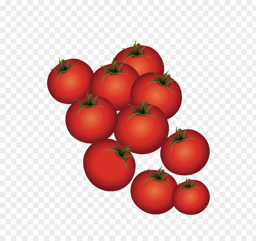 Ripe Tomatoes Plum Tomato Bush PNG