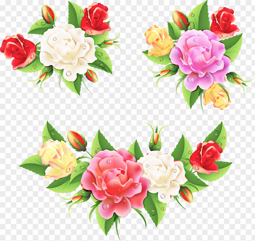 Rose Chinese Peony PNG