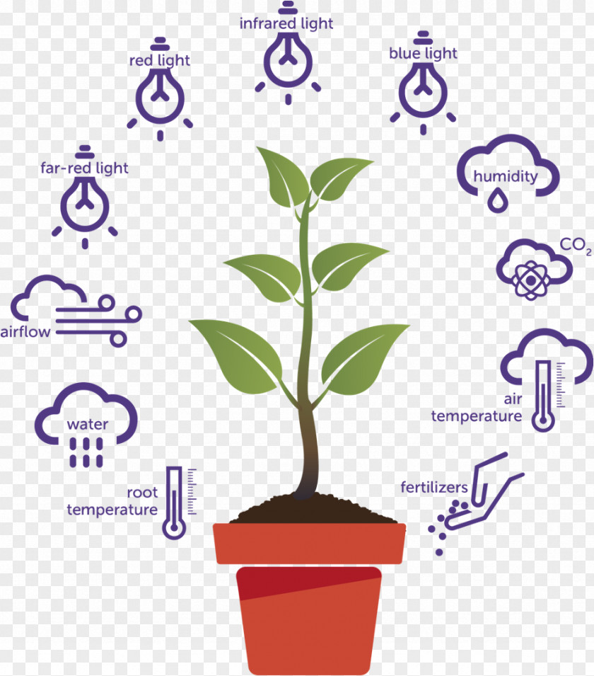 Balanced Nutrition The Plant Cell Physiology Abiotic Component PNG