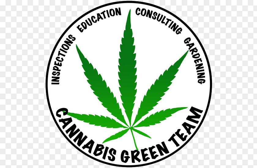 Cannabis Medical Cannabidiol PNG