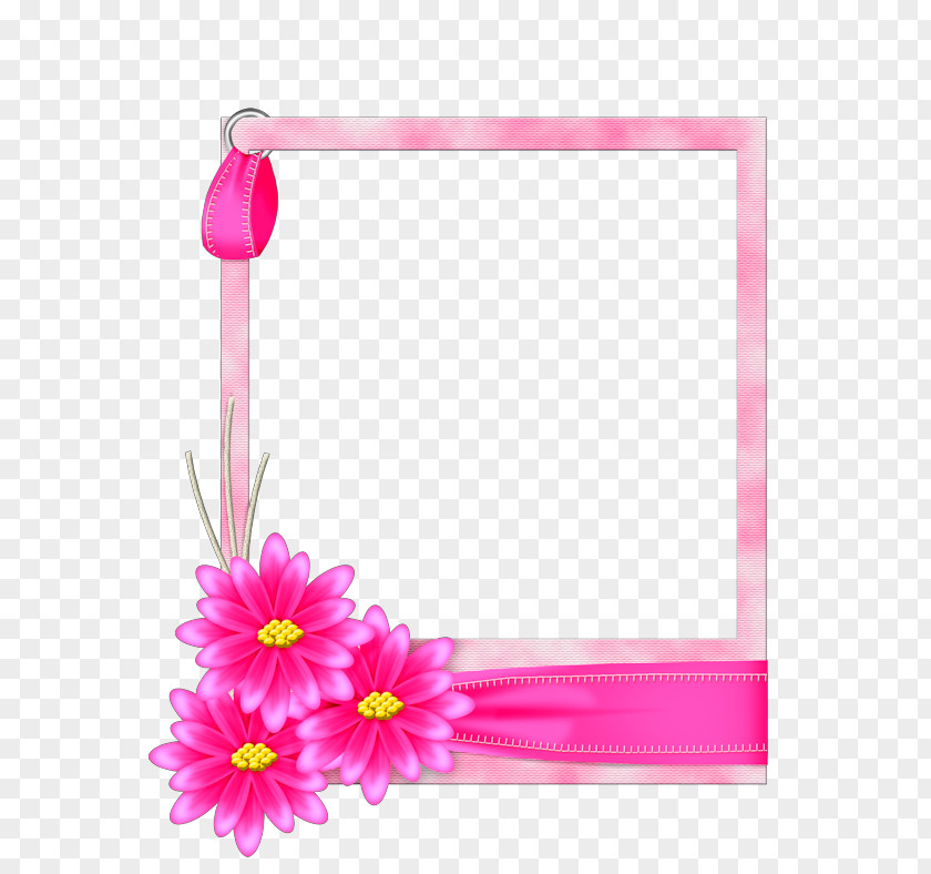 Flower Picture Frames Blue PNG