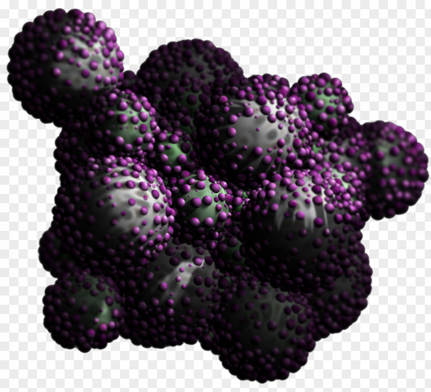 Grape Boysenberry BlackBerry PNG
